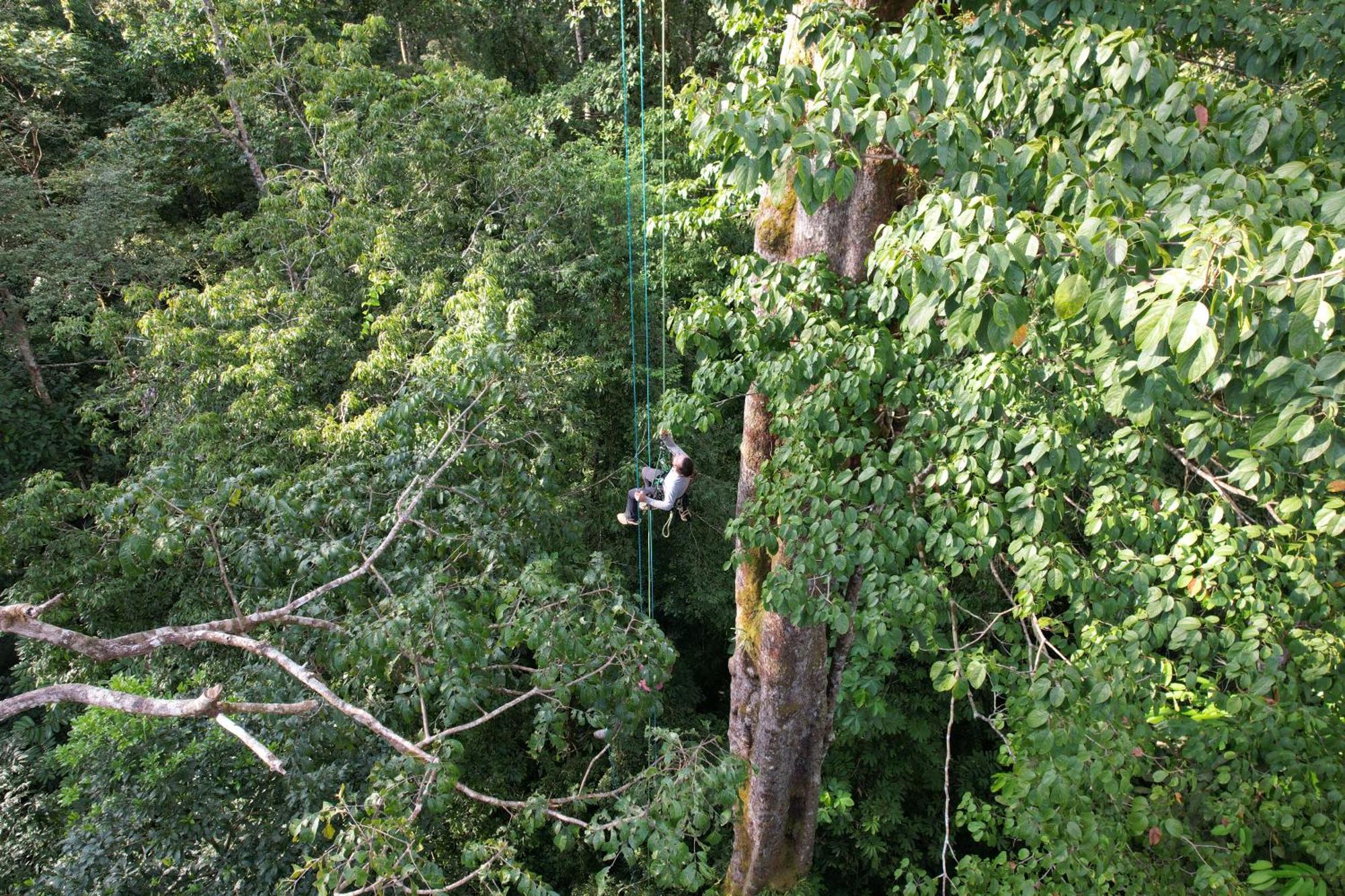 Corcovado Wilderness Lodge By Scp San Pedrillo Εξωτερικό φωτογραφία