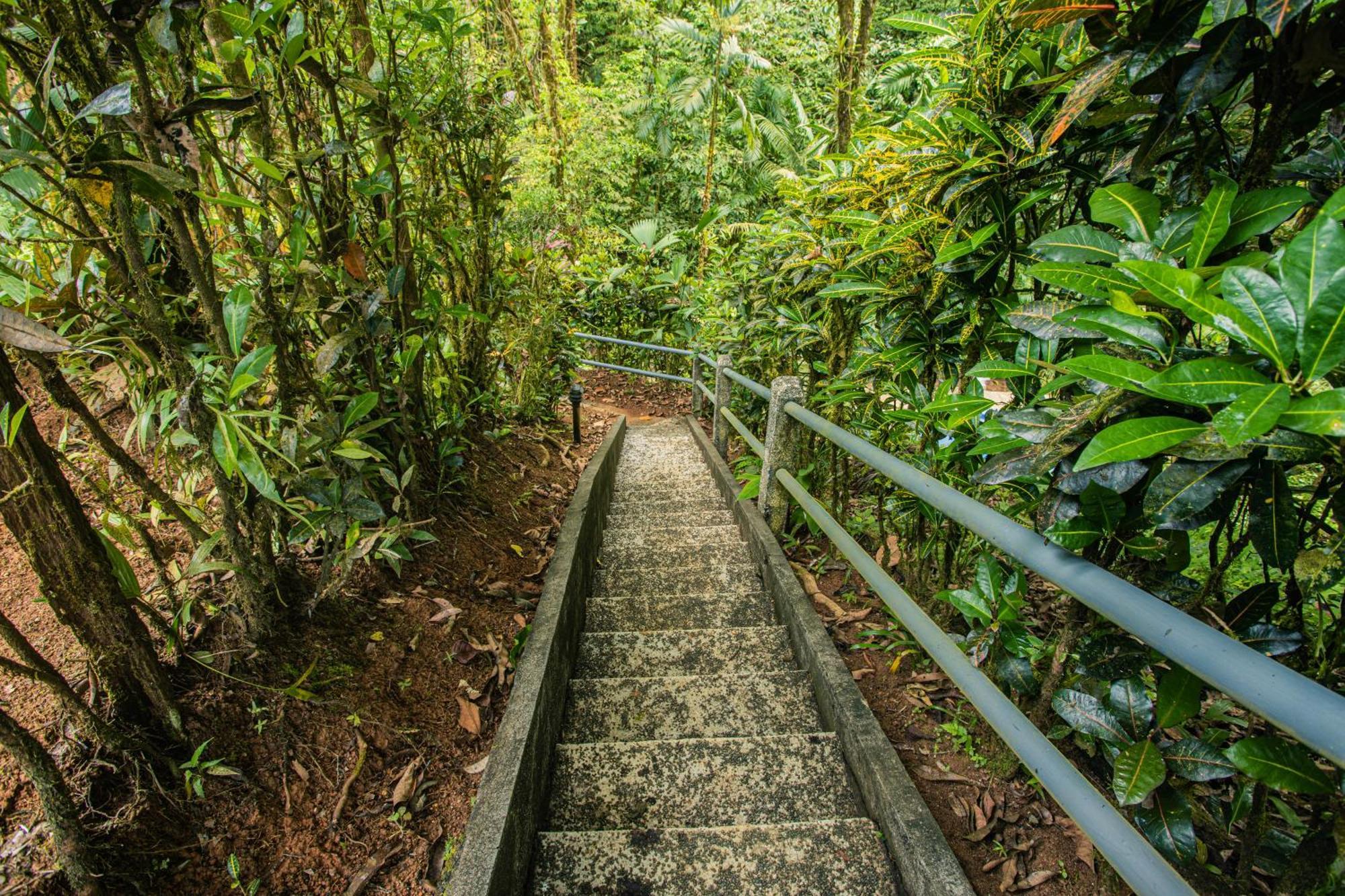Corcovado Wilderness Lodge By Scp San Pedrillo Εξωτερικό φωτογραφία