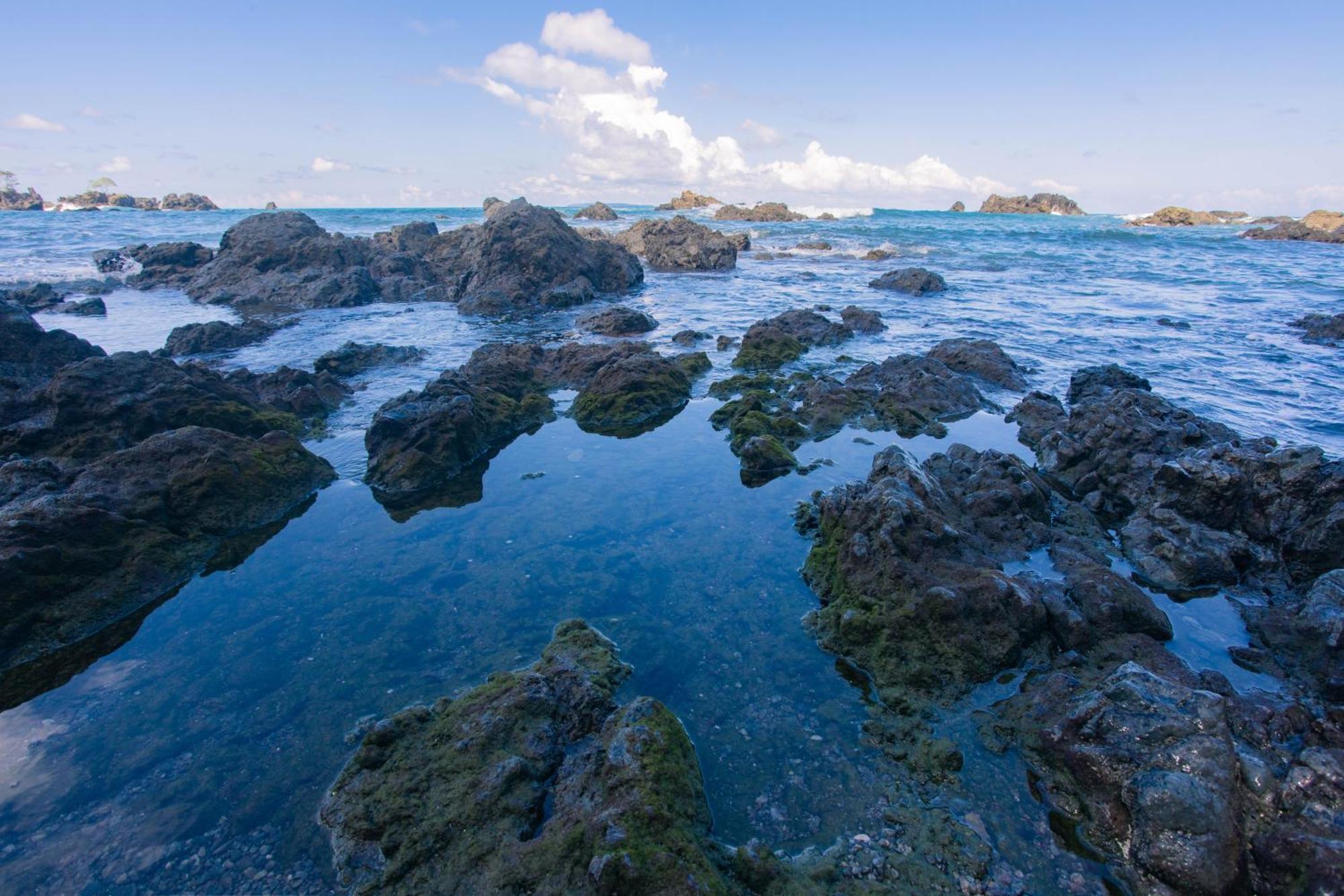 Corcovado Wilderness Lodge By Scp San Pedrillo Εξωτερικό φωτογραφία