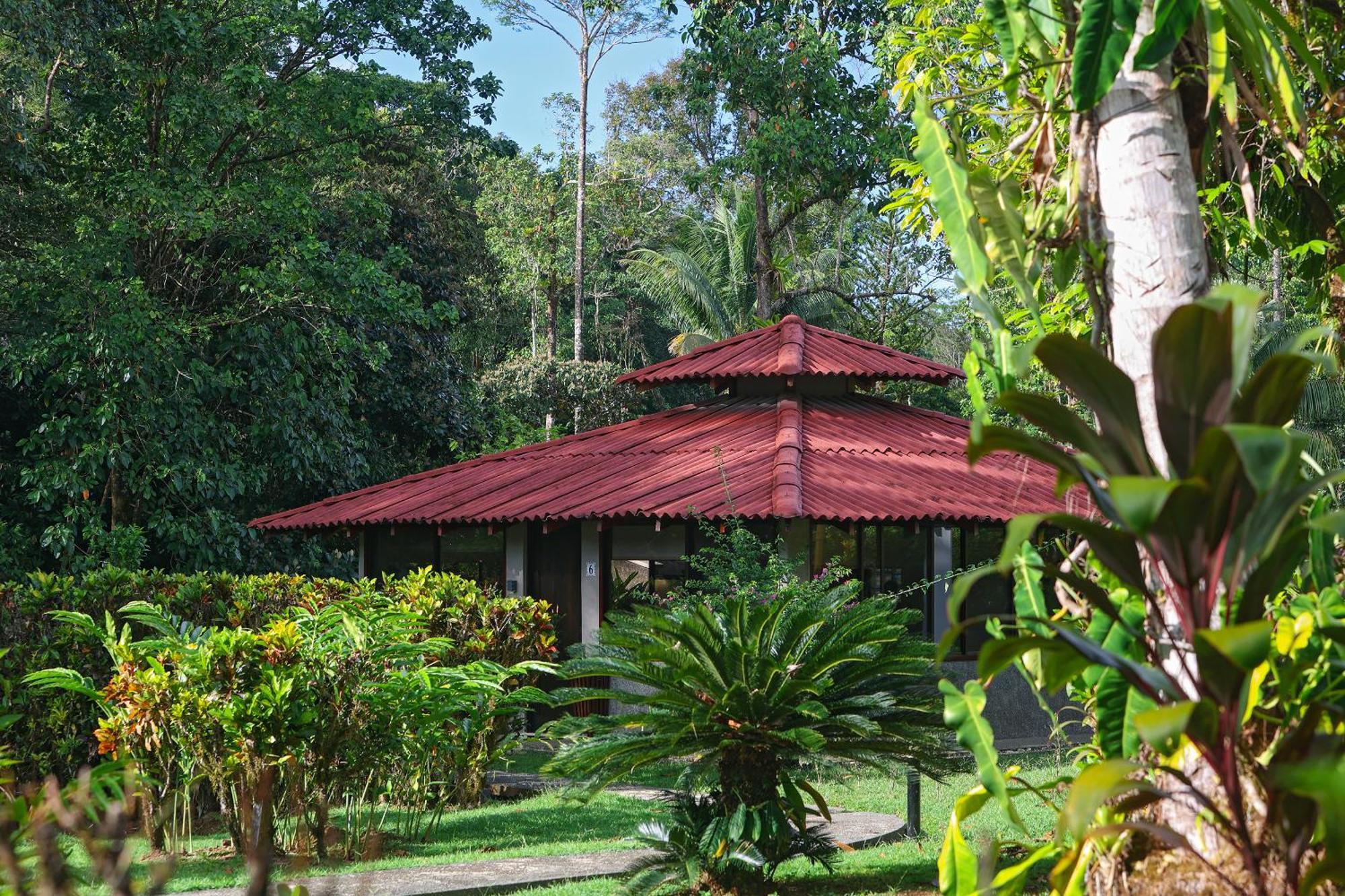 Corcovado Wilderness Lodge By Scp San Pedrillo Εξωτερικό φωτογραφία